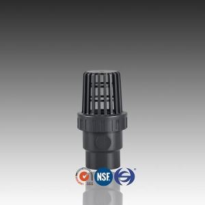 CPVC Single Union Bottom Valve DIN Standard